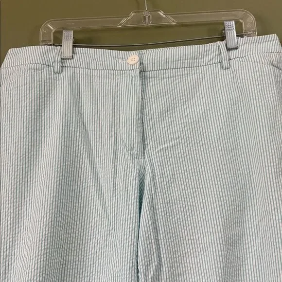 Talbots Blue White Striped Cropped Pants Elastic Waist Sides Sz 14W Plus - Picture 2 of 7